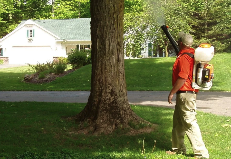 Tuff Turf pest control technician